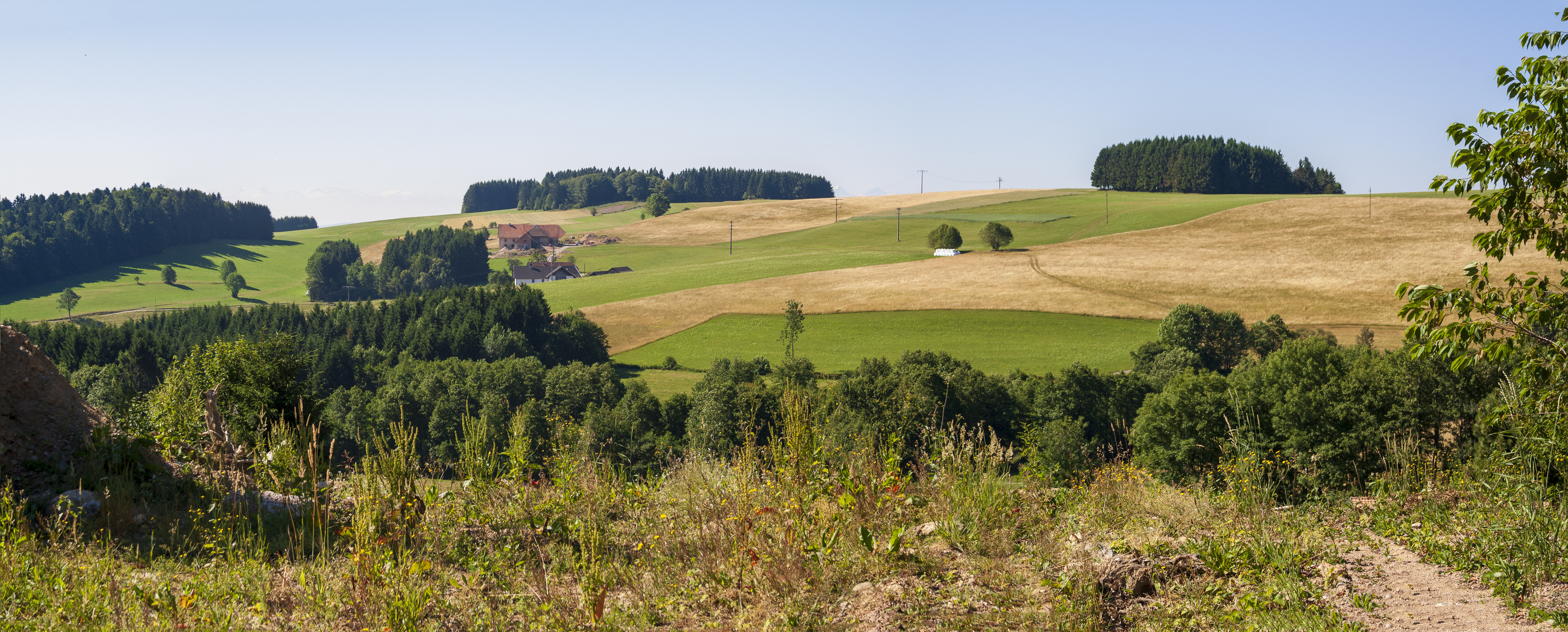 Herrischried