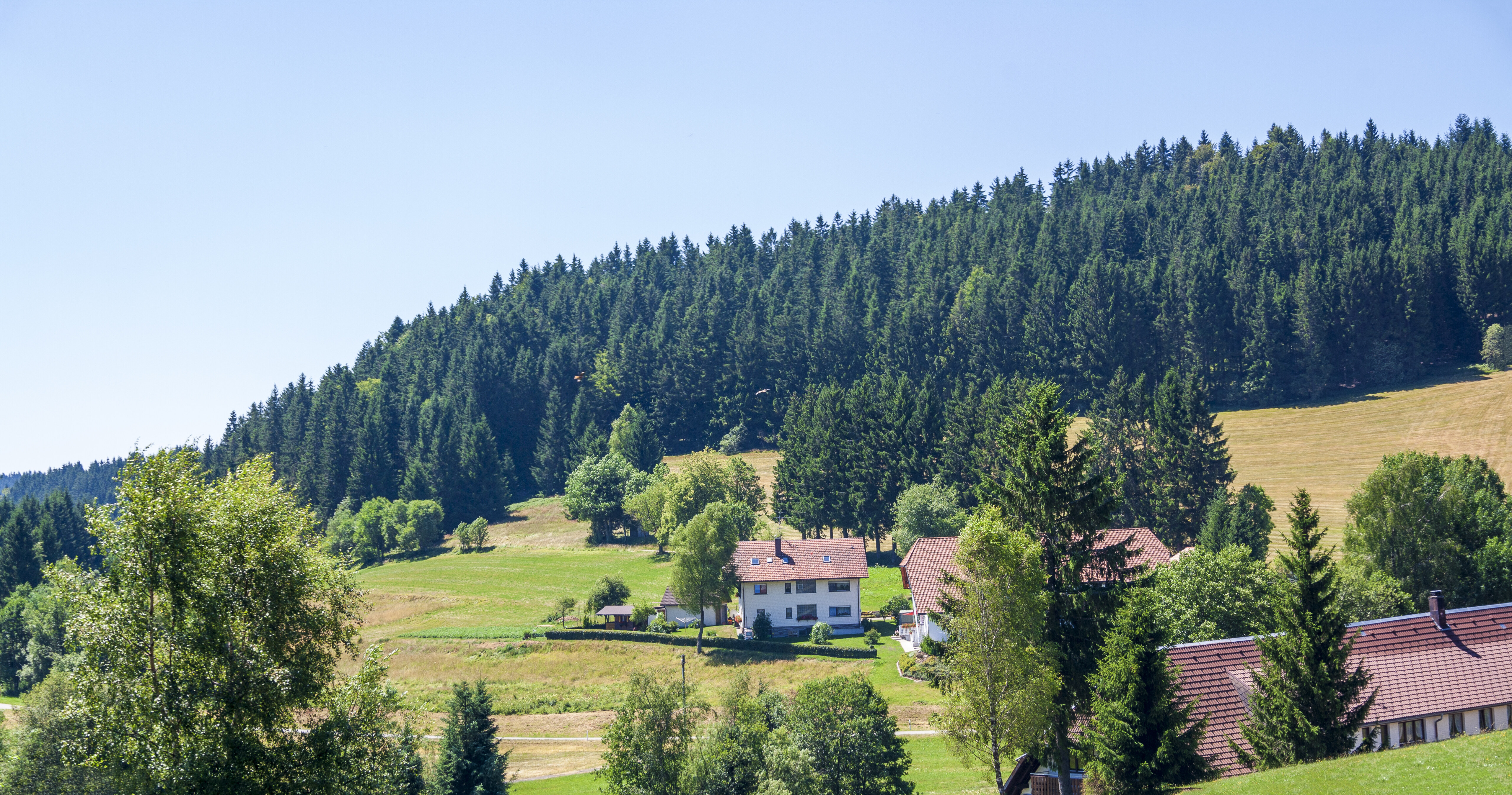 Herrischried