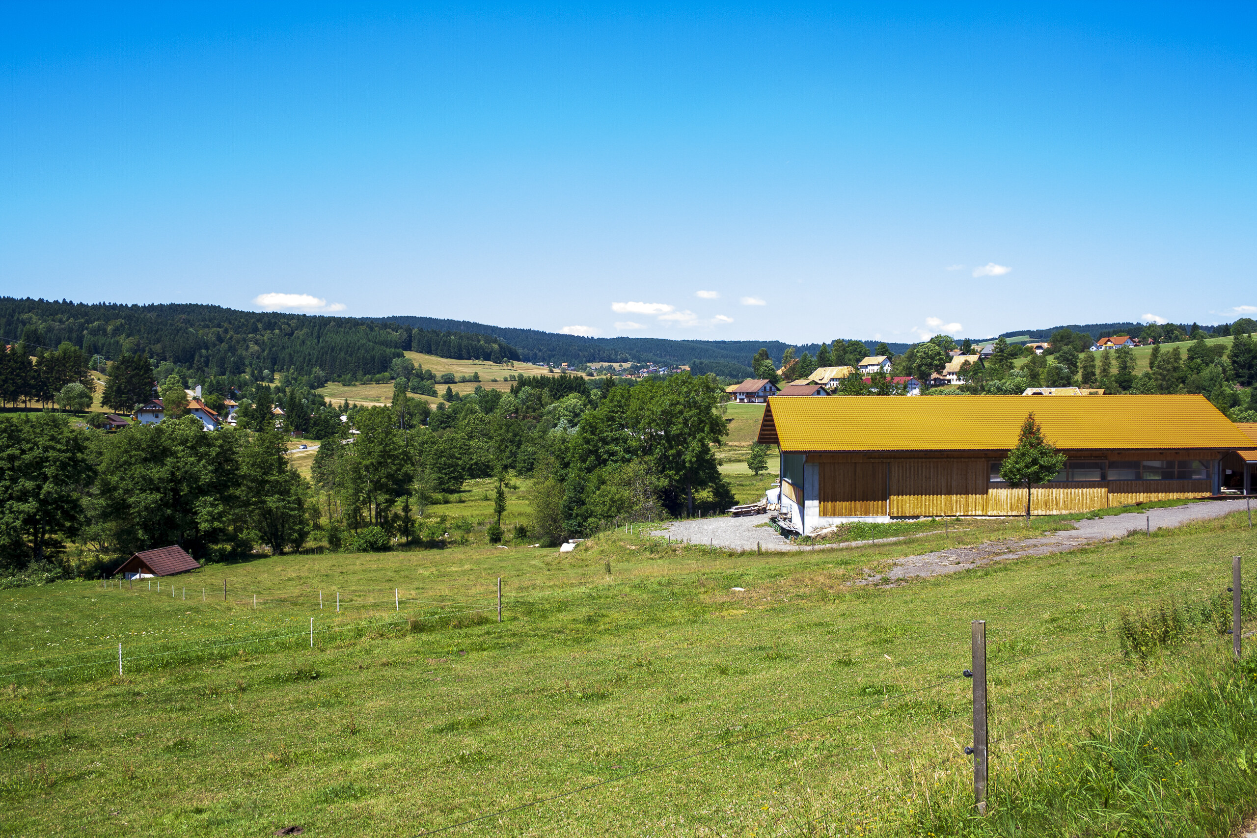 Herrischried