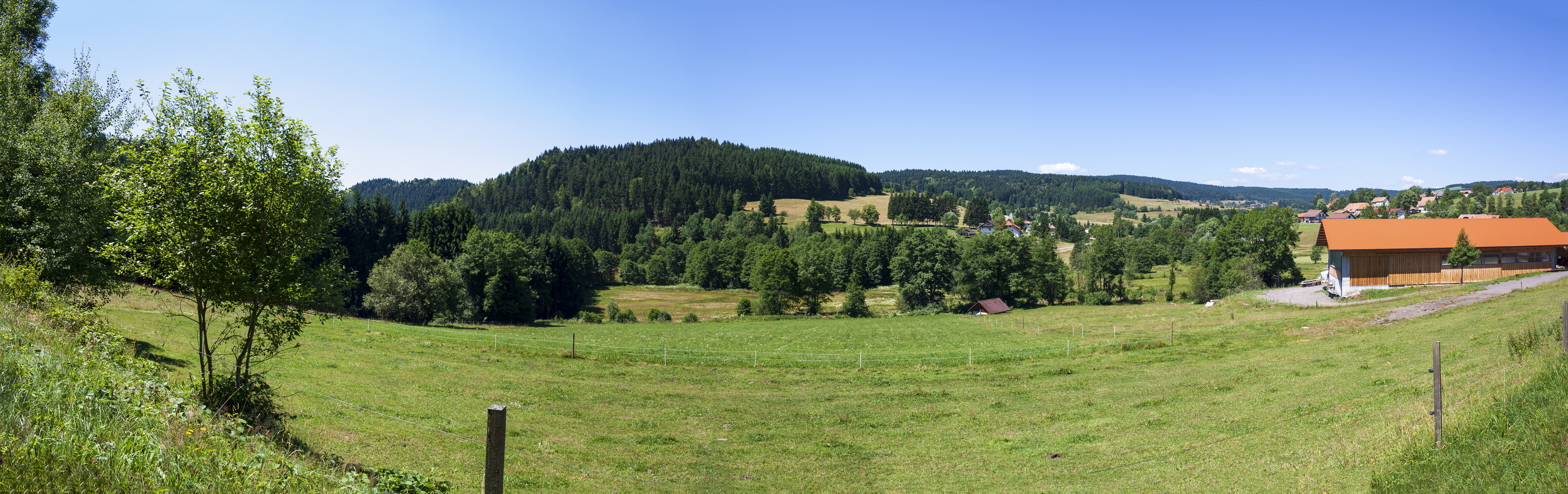 Herrischried