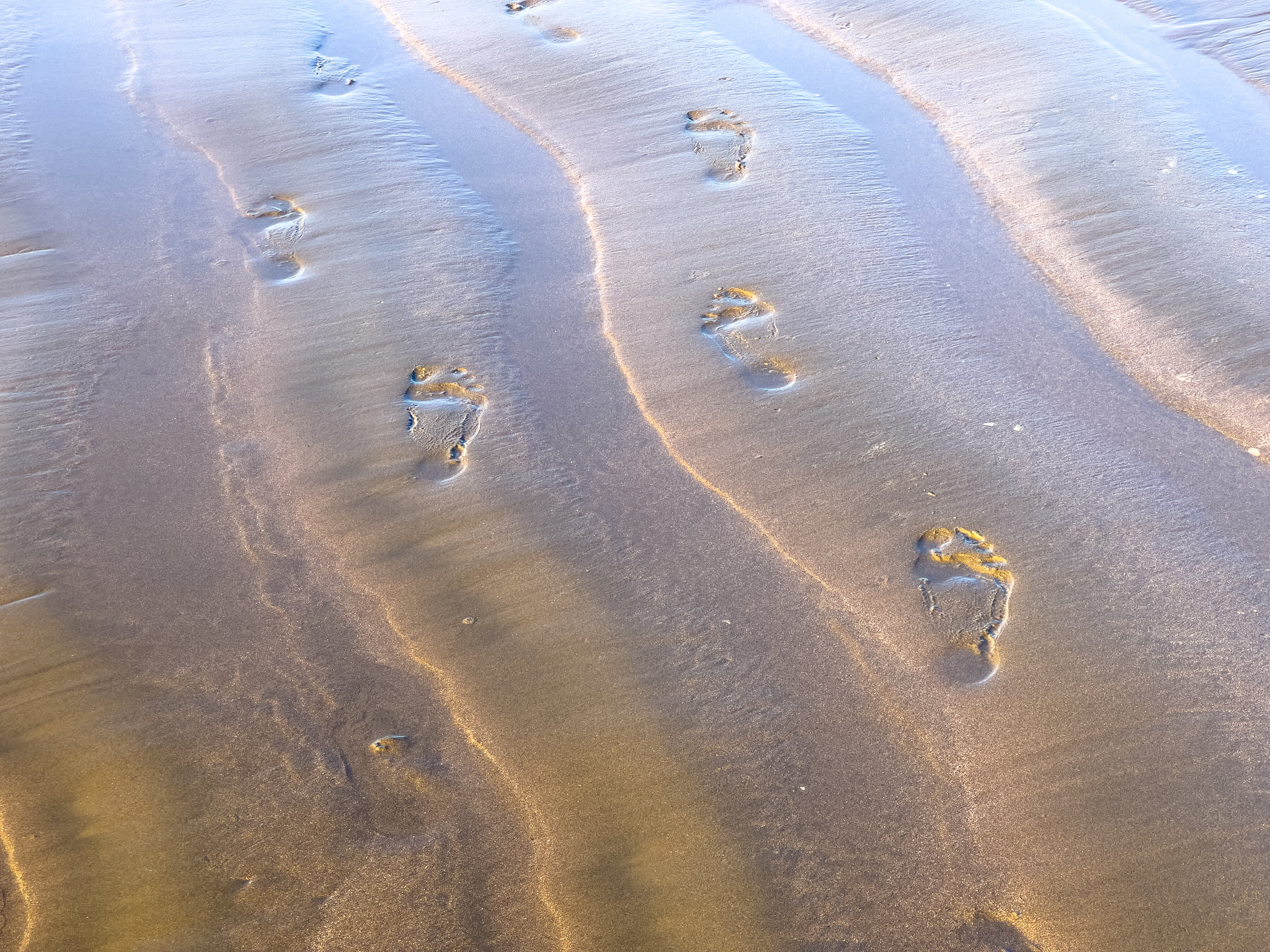 Voetstappen in het zand