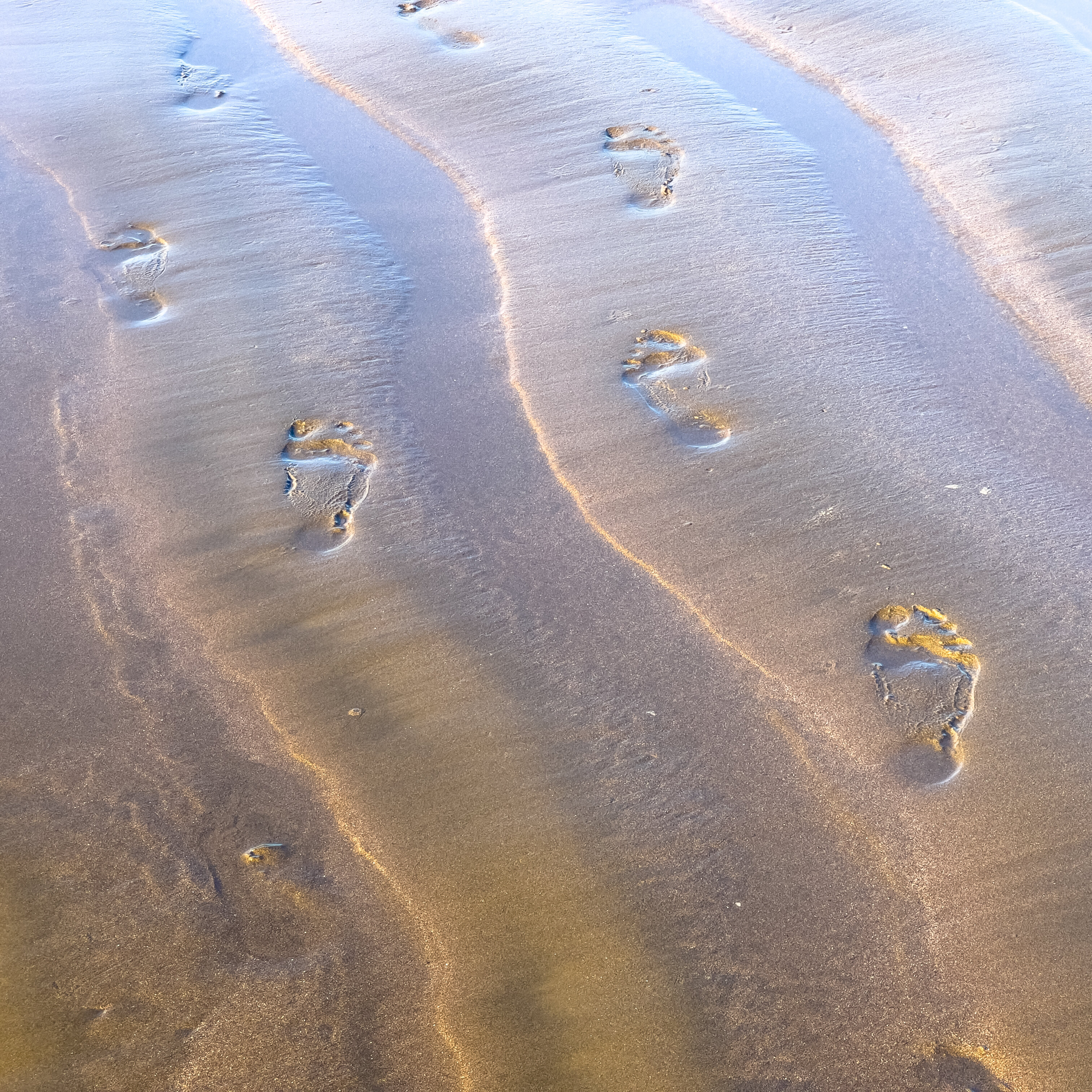 Voetstappen in het zand
