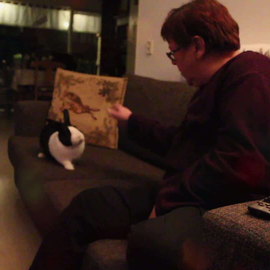 Stoeien met Frits