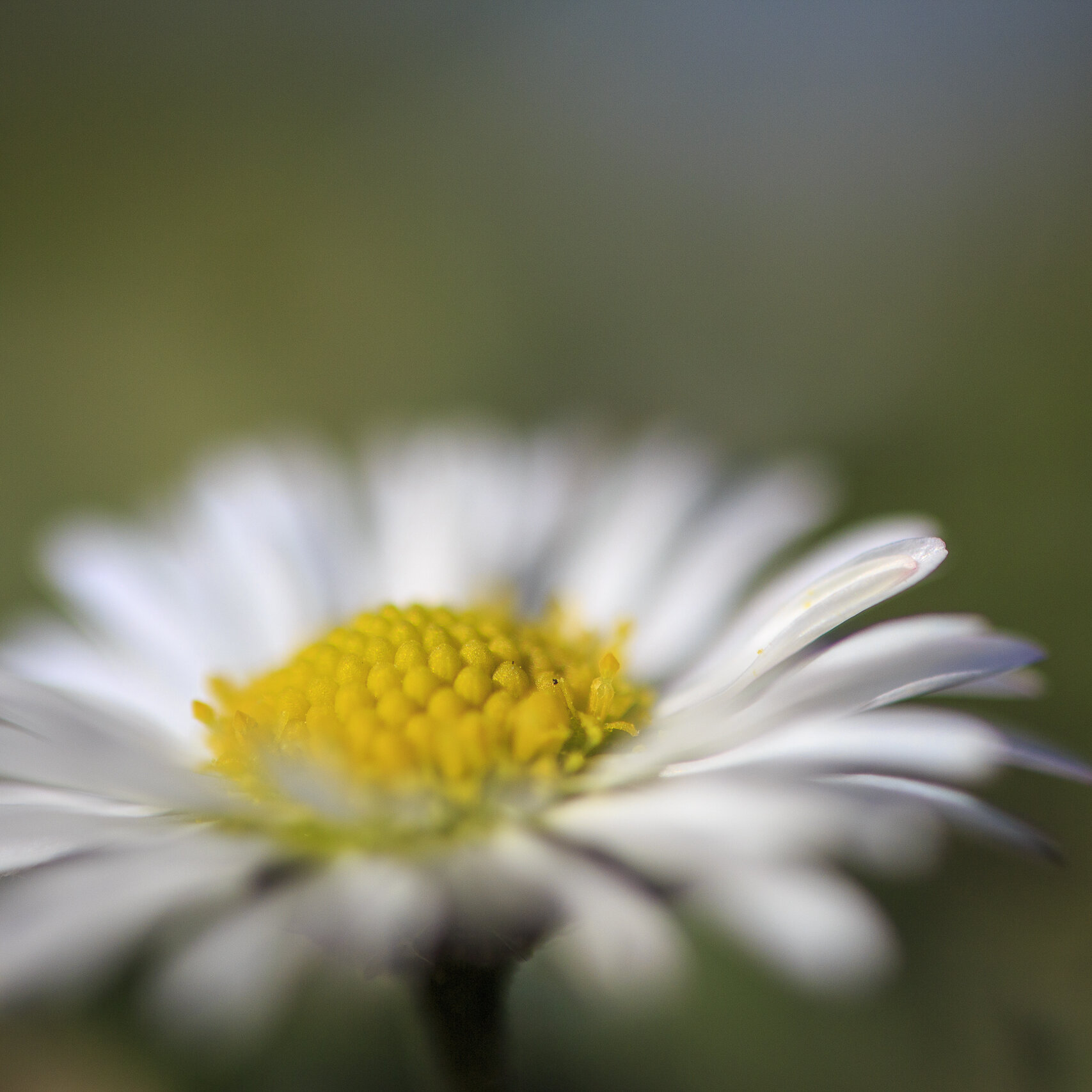Moeder Natuur is in de war