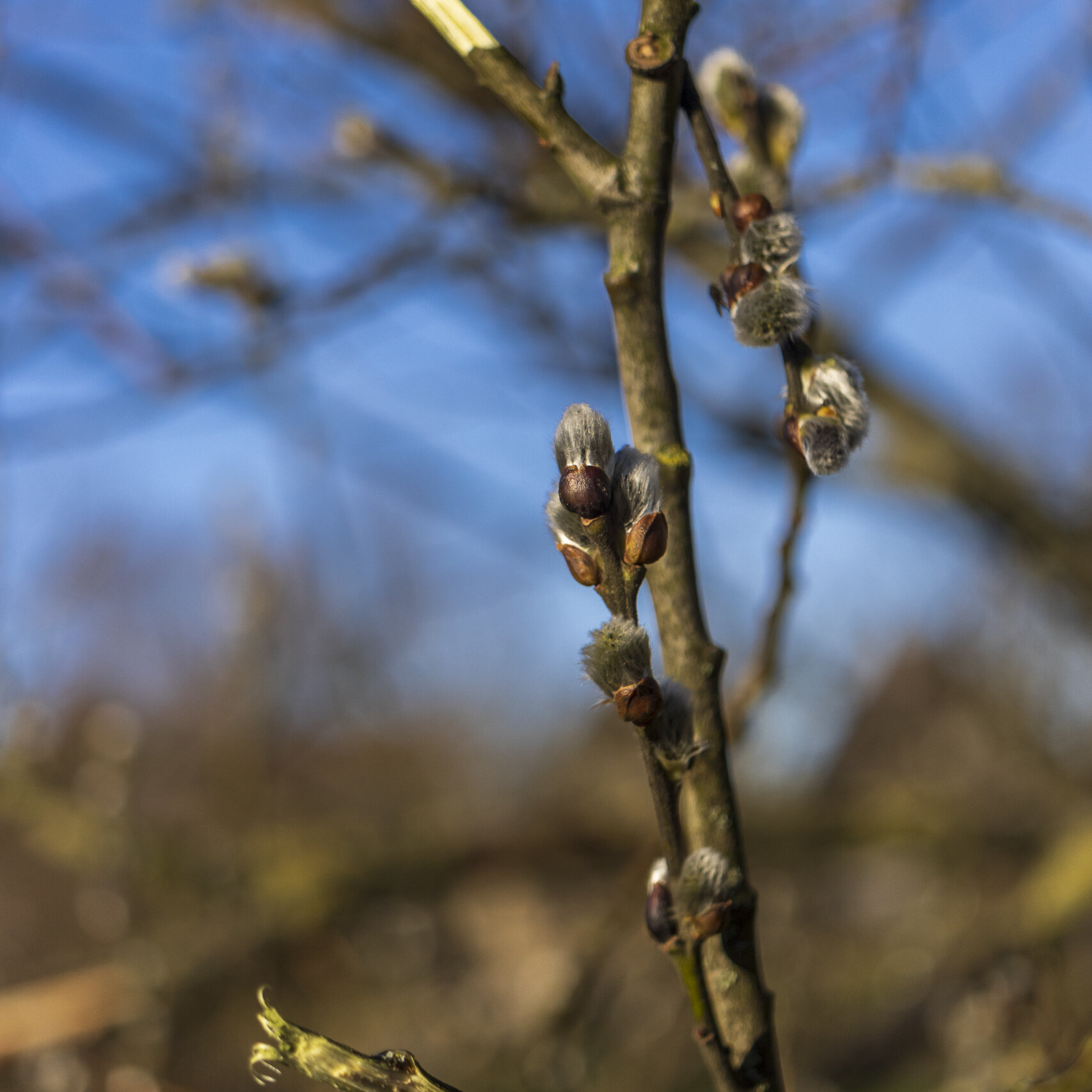 De mens maakt de natuur kapot