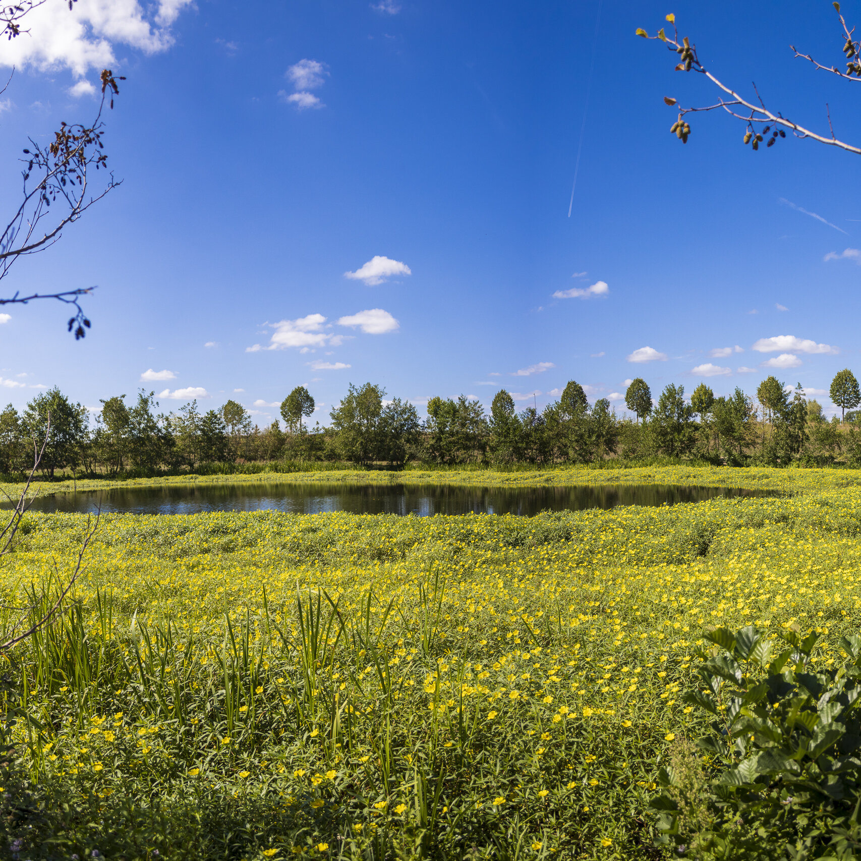 (Half)rondje Molenplas
