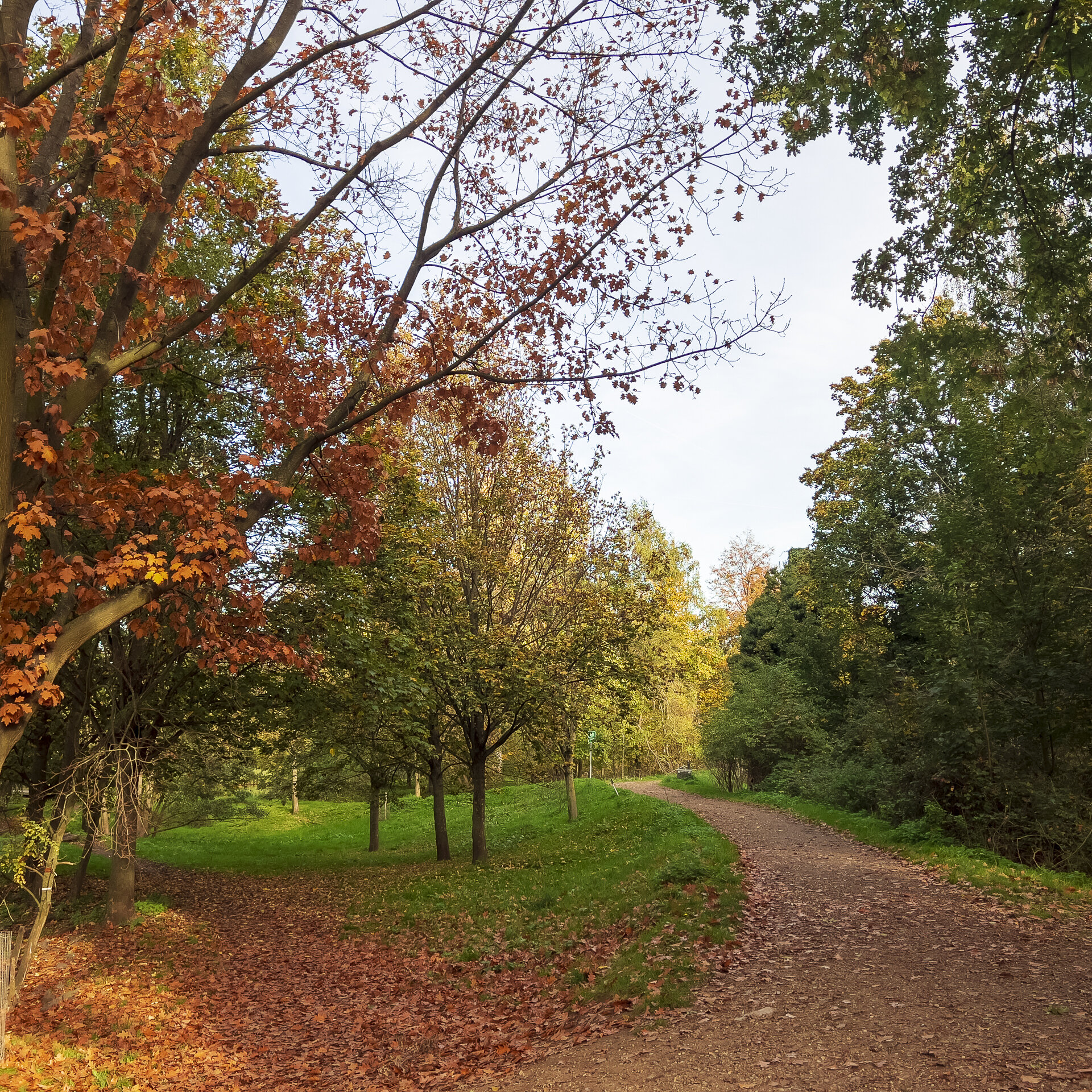 Natuur