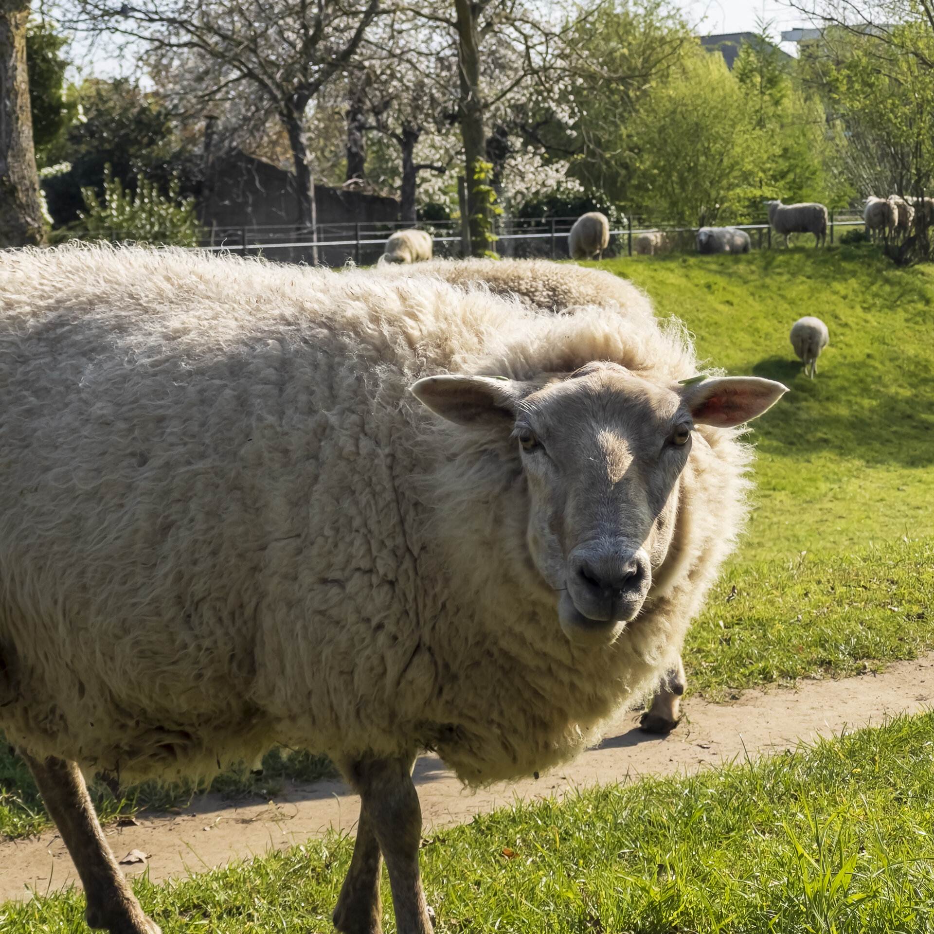 Begin de dag met een wandeling.